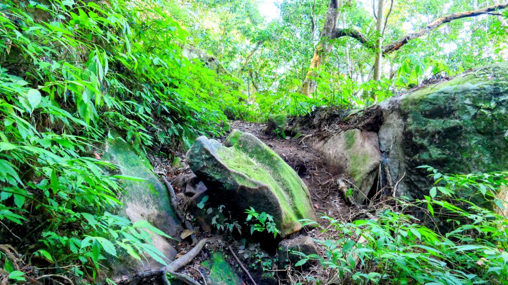 油羅山(一上三下)_2959121