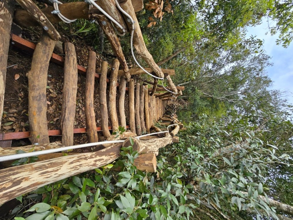 台中大坑4號登山步道_2751082