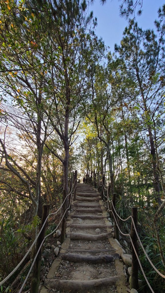 2022-0311 大坑4號步道往返_1637241