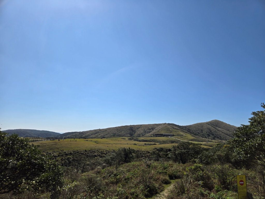 擎天崗環形步道_2722257