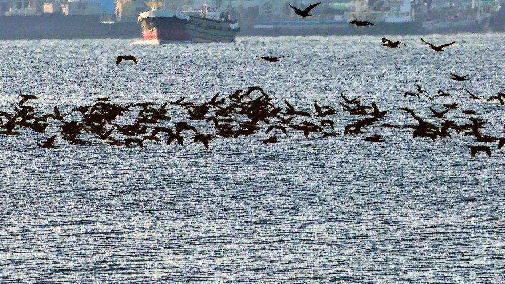 名古屋港邊的時空對白_2982674