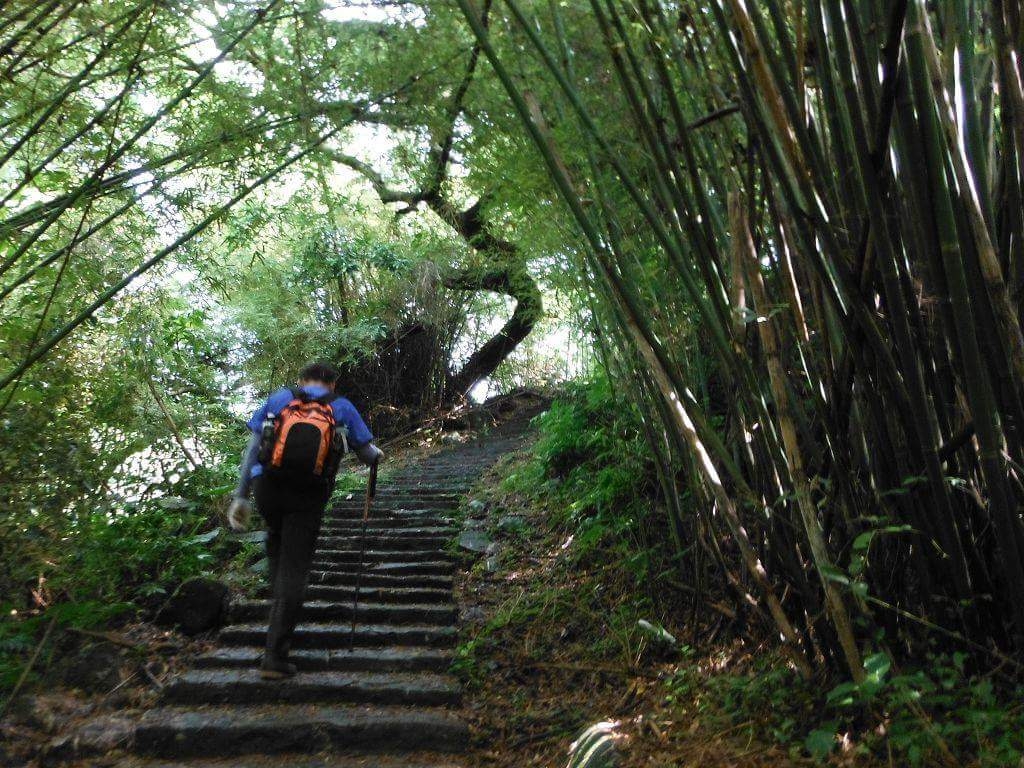 百年坪頂古圳與北五指山之草原驚艷_45696