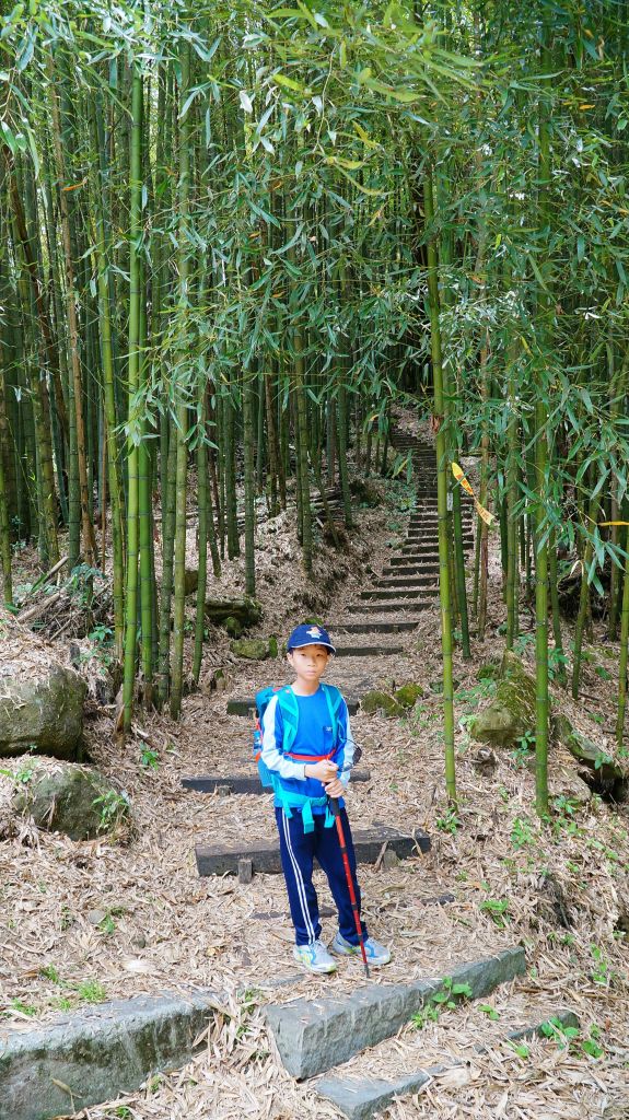 大凍山-二延平步道_114643