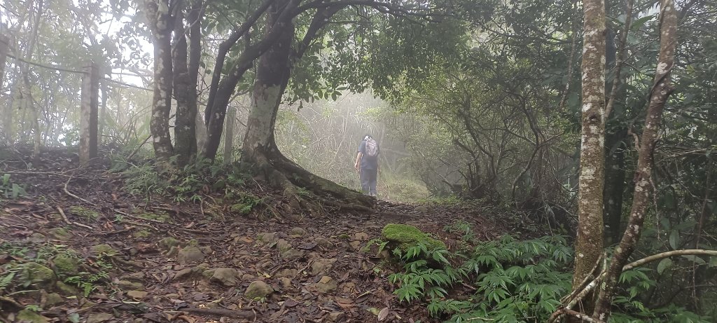 2024/08/18_馬那邦山步道_2576197