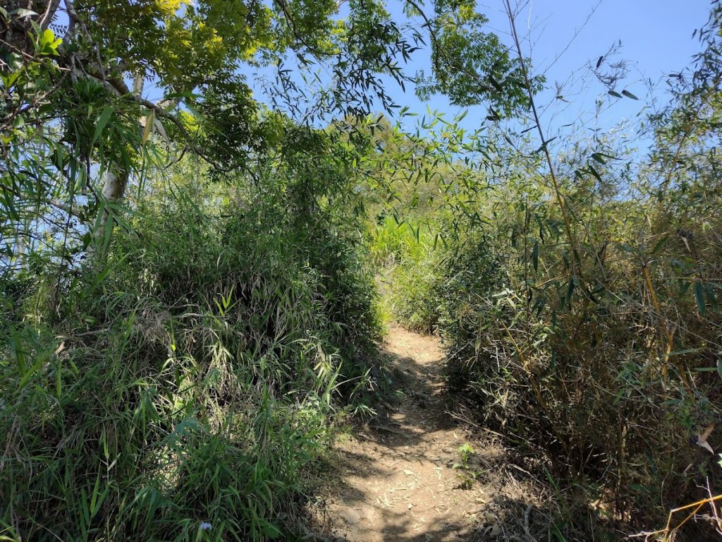 2022 4/5 刣牛湖山_1664118