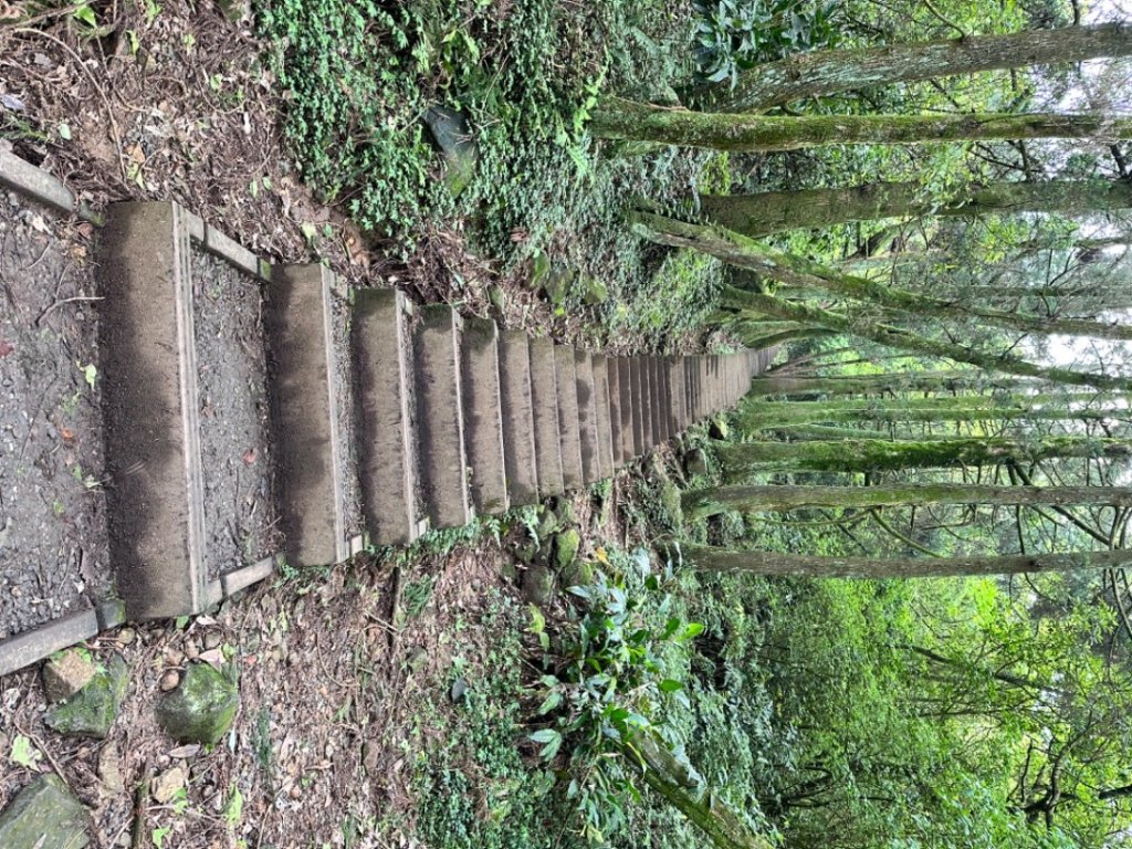 臺北大縱走第三段 小油坑》風櫃嘴_2478258