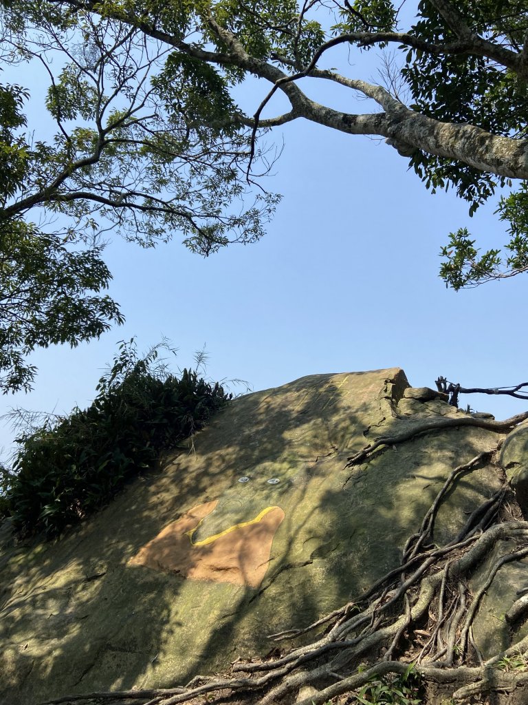 五寮尖縱走溪洲山~鐵腿行程_1848804