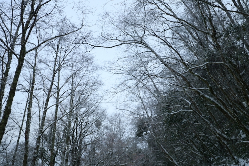 思源埡口-雪の国_263815