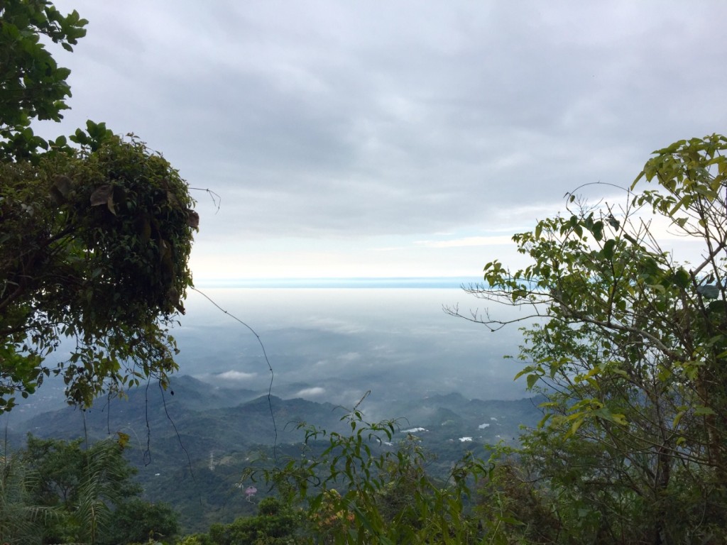 台南第一高山大凍山_240775
