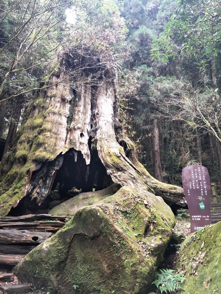 杉林溪松瀧岩瀑布、天地眼步道_1246192