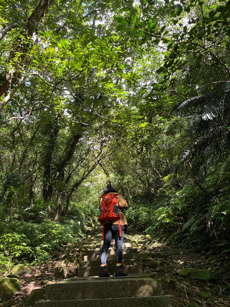 愛在秋芒紛飛時...五分山_2353602