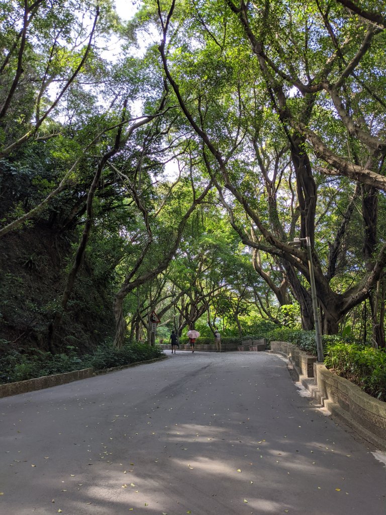 龜山到新莊 樟腦寮 牡丹心(青年公園)_1055990