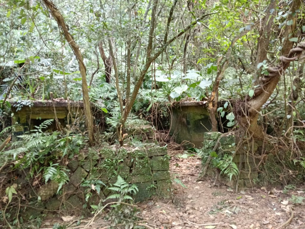 雙溪區大平林山+后番子坑古厝+后番子坑山+武山煤礦事務所+焦炭窯O型_2988641