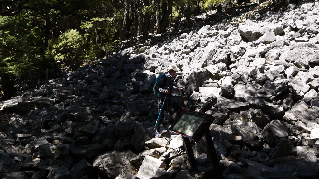 池有山單攻登山健行趣(百岳52)_1515406