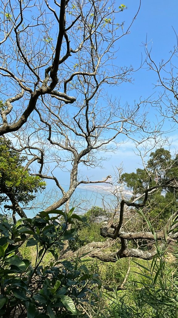 新北｜林口 太平濱海步道_1743350