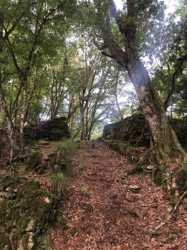 戒茂斯上新康下瓦拉米_655046