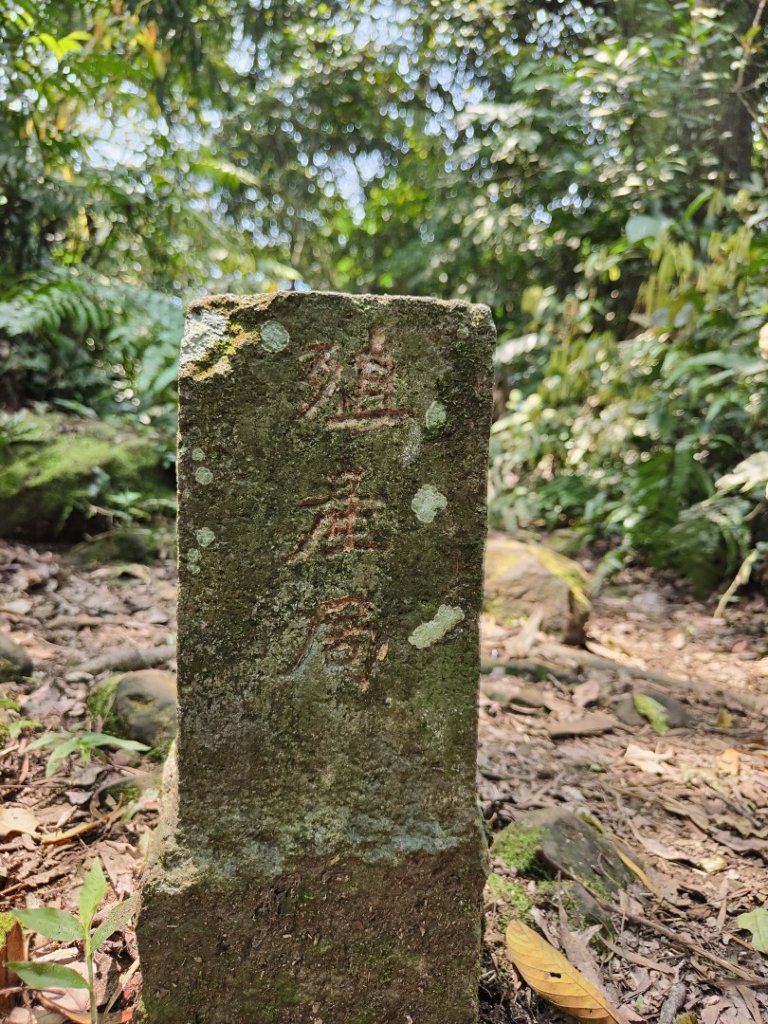 2023.04.13 大艽芎古道登溪洲山_2111613