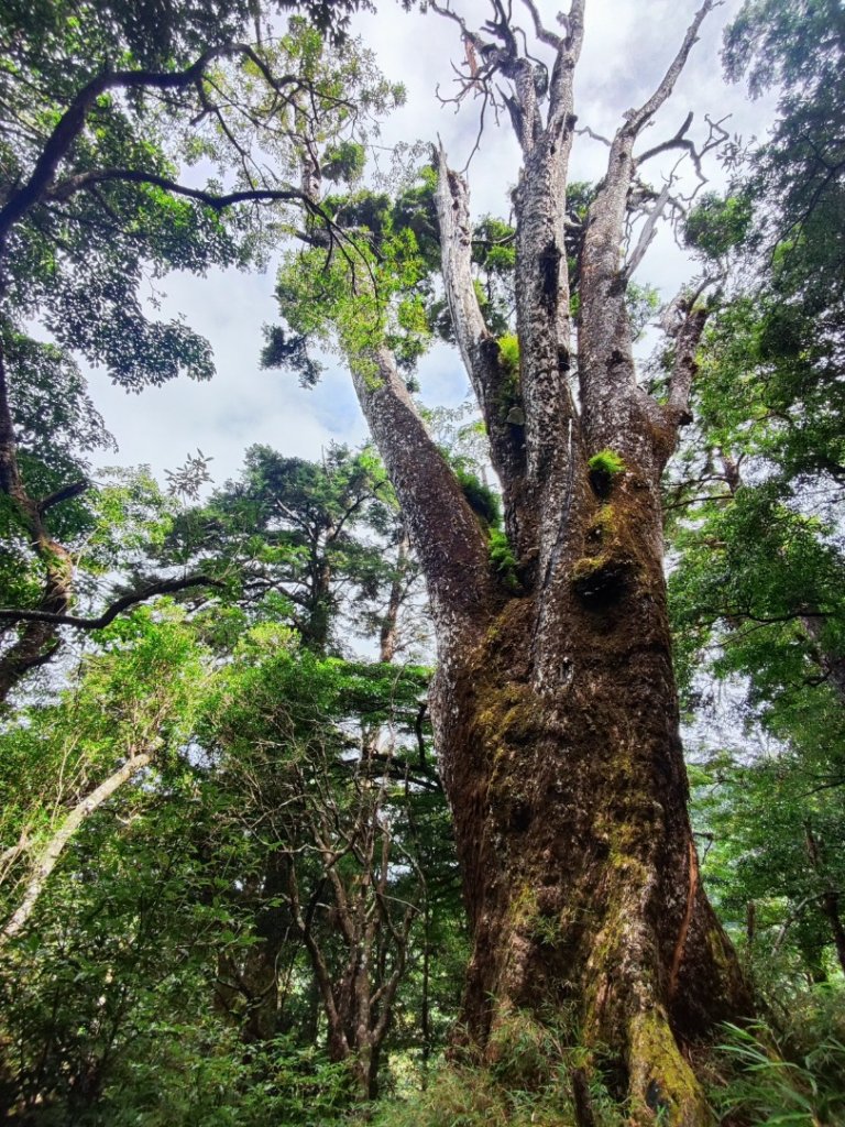 樂雪縱走_2876769