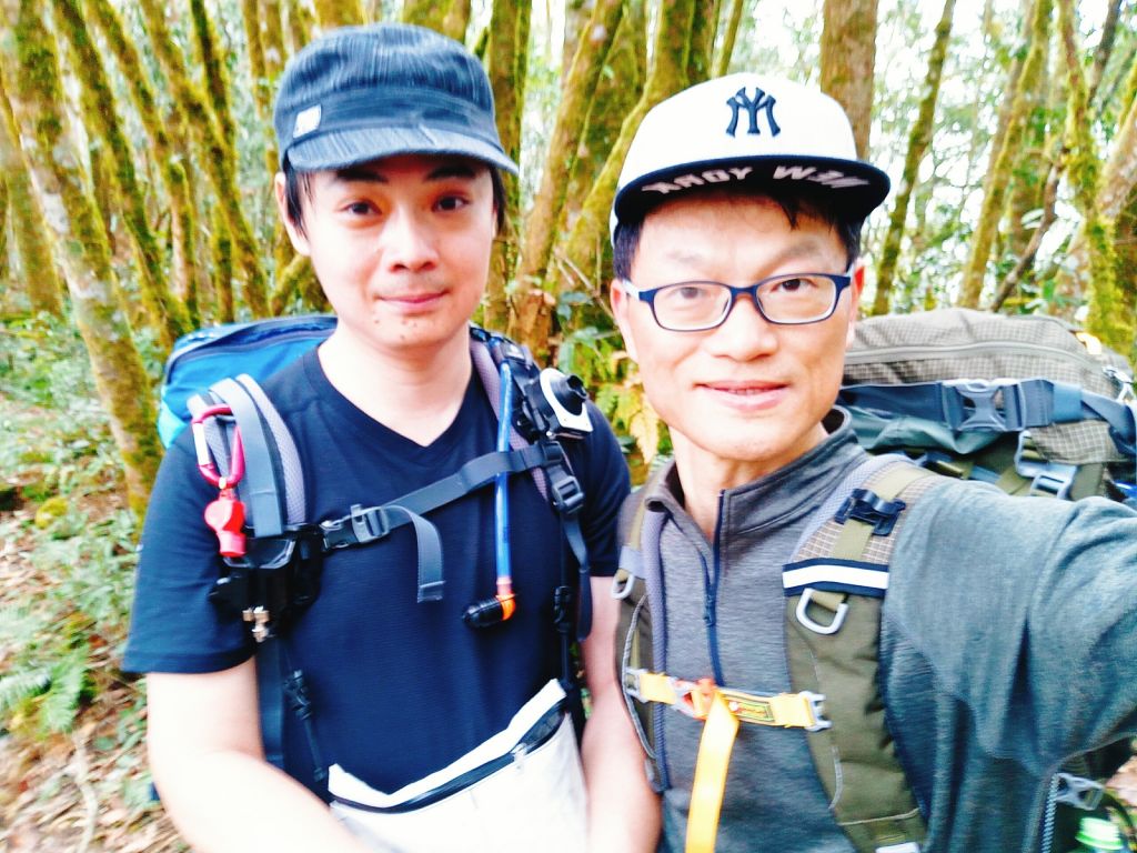 米羅山之木_292811