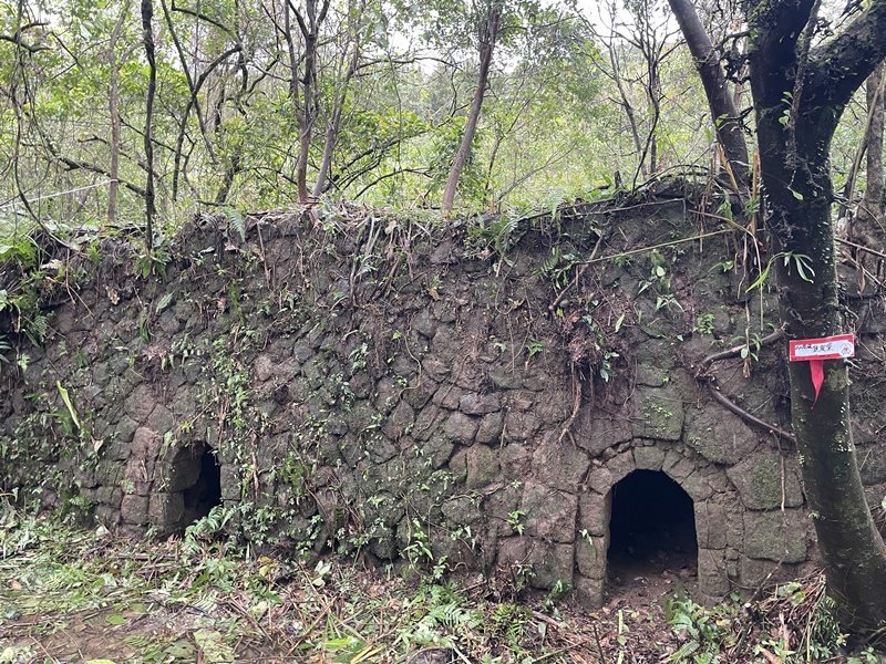 武山坑炭窯_2990728