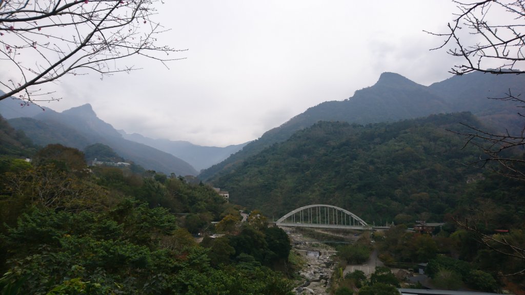 水雲三星之鳳-上島山(鳥嘴山)封面圖