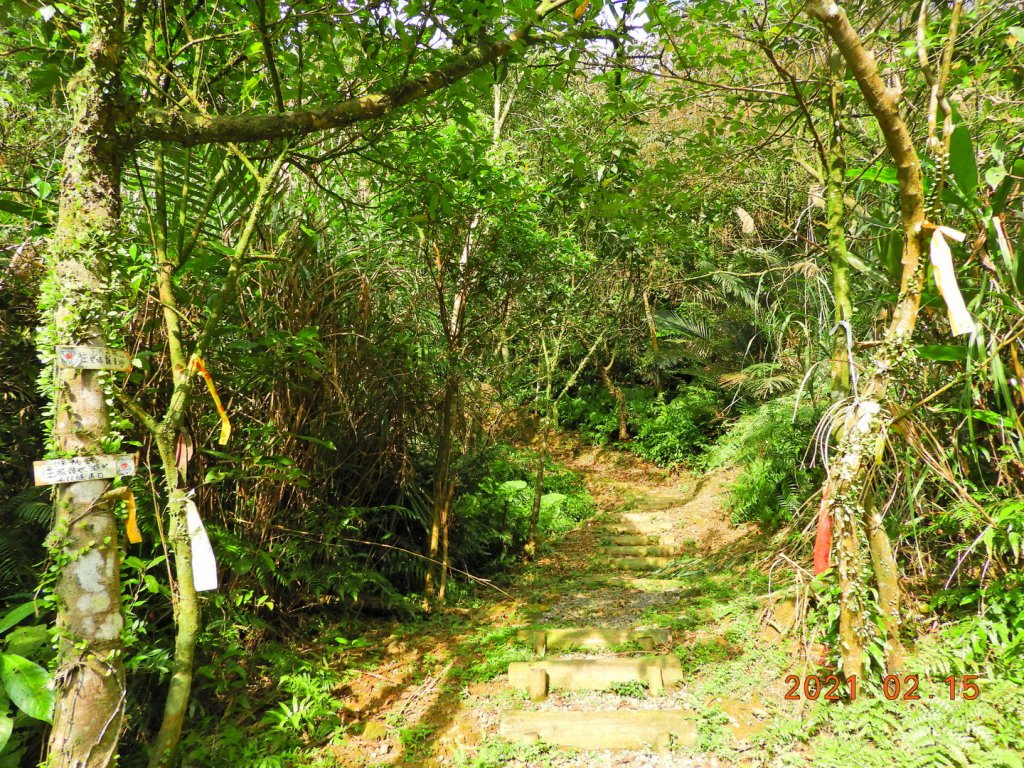 新北 雙溪 上內平林山、下內平林山_1273156