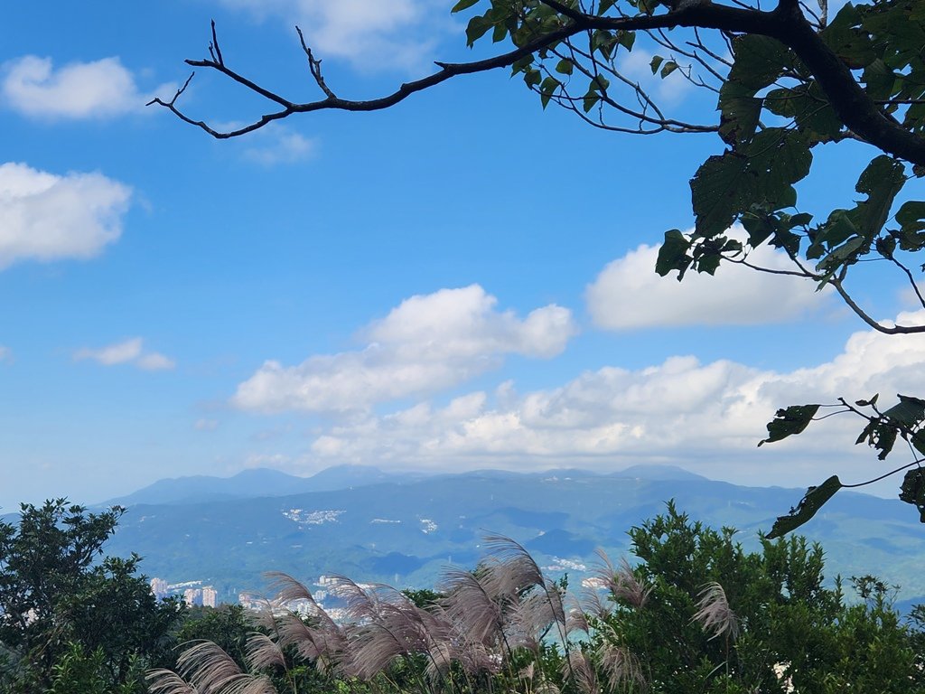 【小百岳】四分尾山連走汐止大尖山_2356380