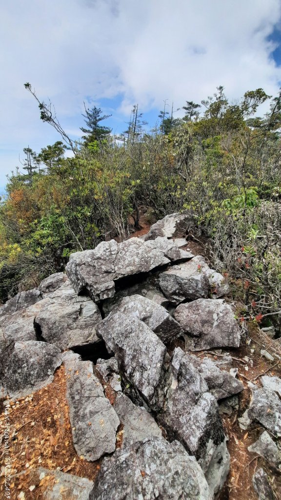 《台中》林道獨角獸｜大雪山210林道（船型山林道）上烏石坑山20240518_2506539