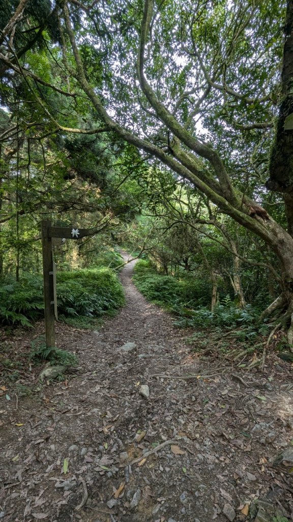 113.06.22坪溪古道-石坑山之旅_2533807