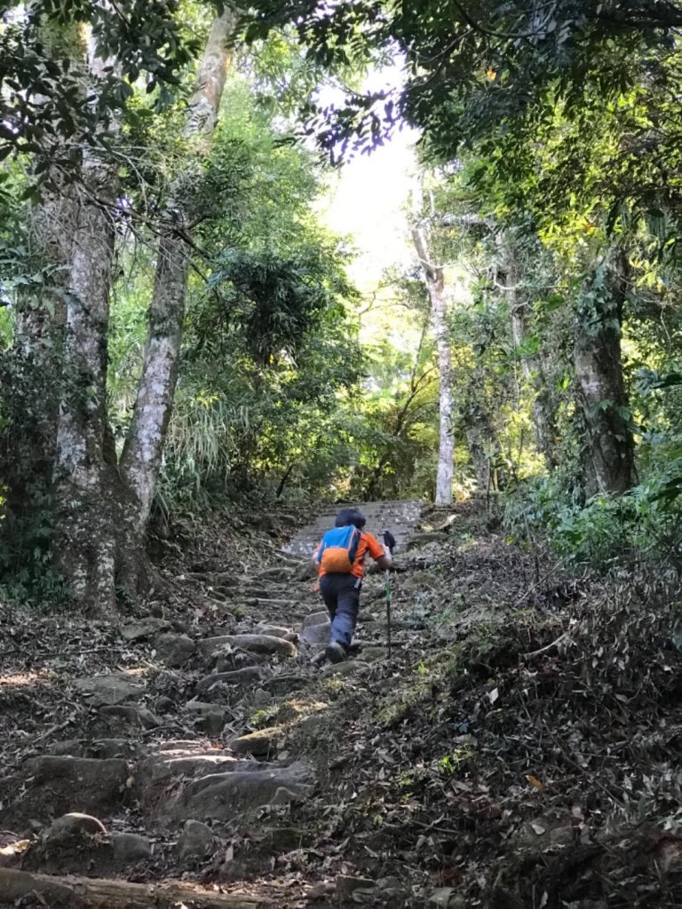 細道邦山 馬那邦山_464794