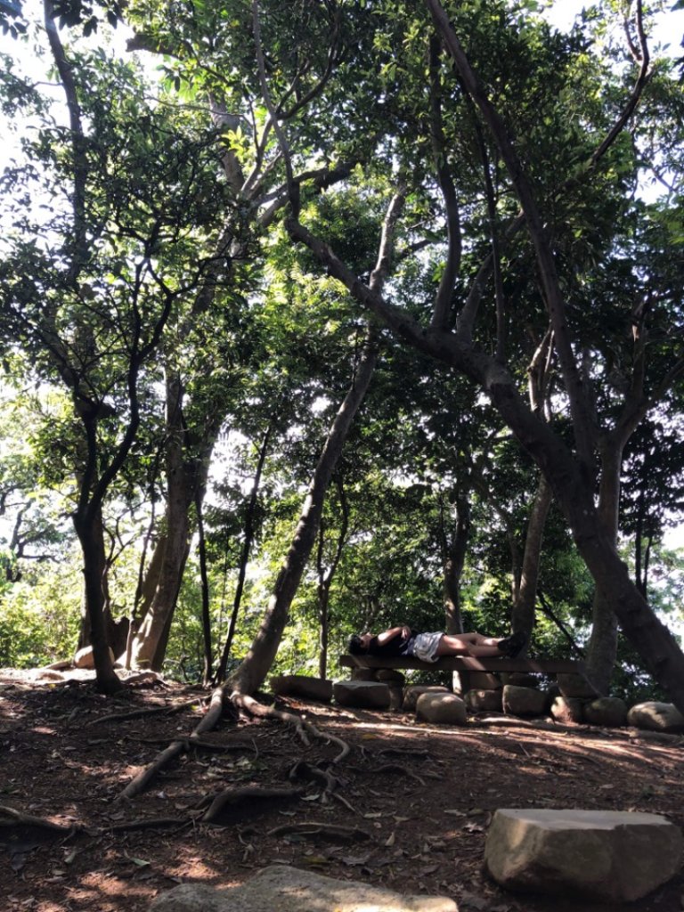 富陽公園（福山）_736122