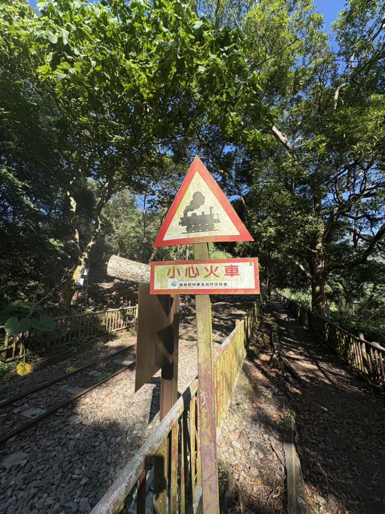 20251122獨立山國家步道+觀音石山+阿拔泉山_2944310