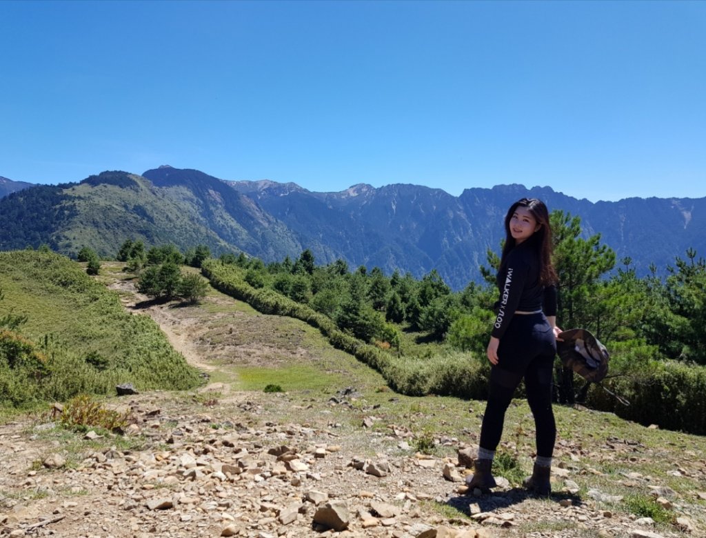 誘惑登山新手路線 塔塔加鹿林山麟趾山_689733