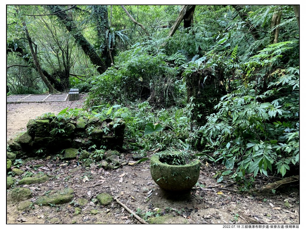 2022.07.18 三貂嶺車站-侯硐車站：〖三貂嶺瀑布群步道〗〖中坑古道〗〖柴寮古道〗_1775318
