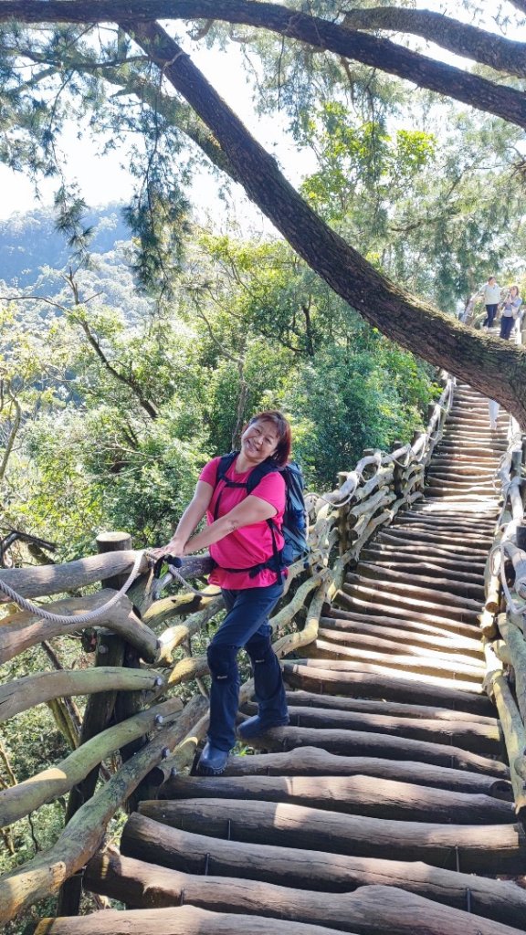 大坑五號步道、5-1號步道、頭嵙山_2668177