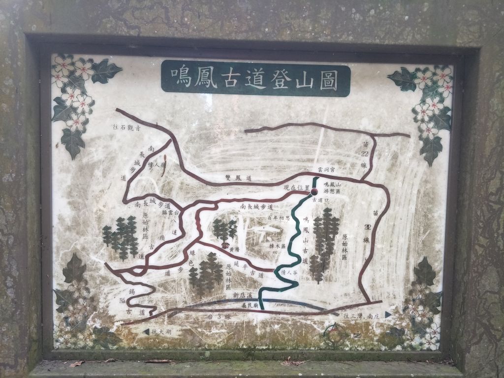 2018 05 14 鳴鳳山古道_331684
