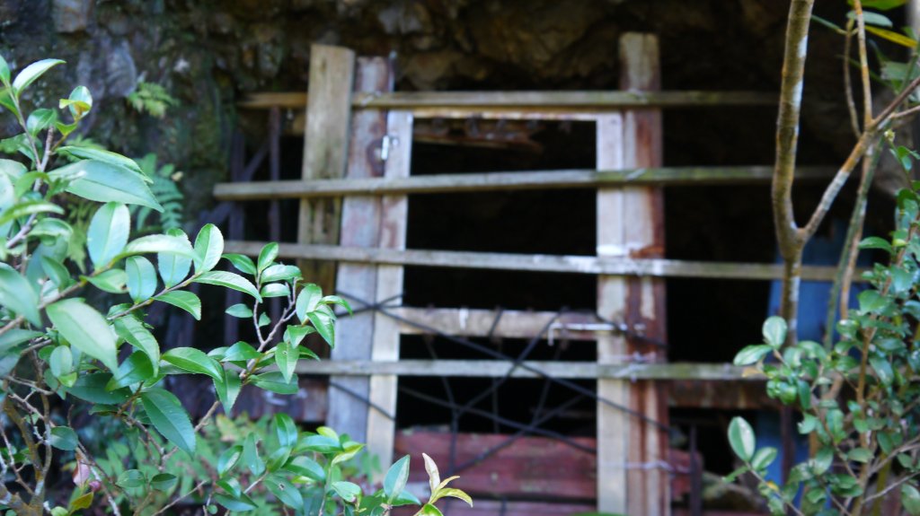 金瓜石黃金洞登山健行趣(郊山)_1519016