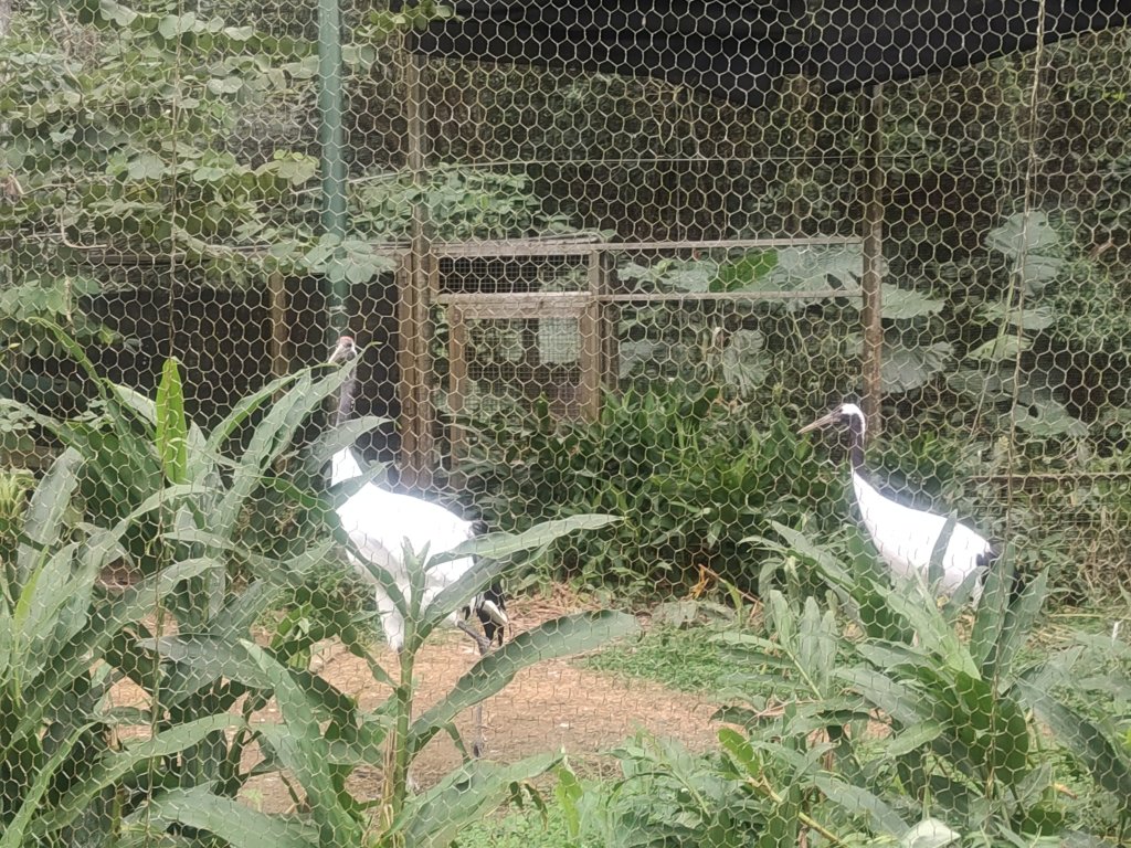 台北動物園_2664024