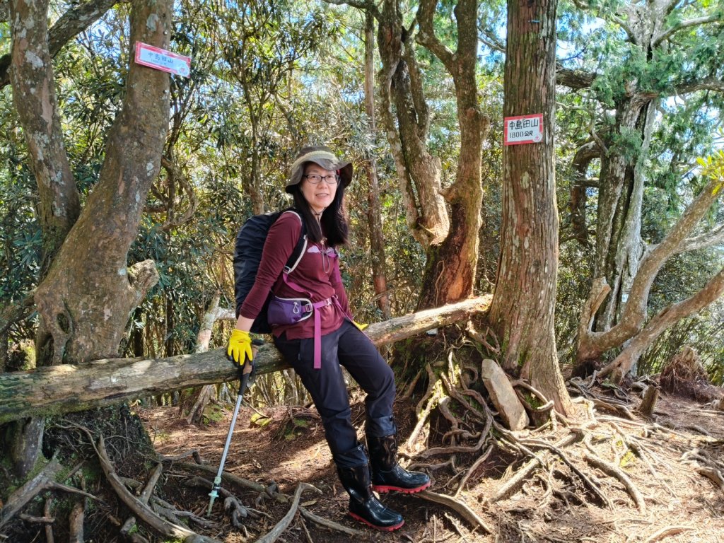 高島縱走20250215_2713785