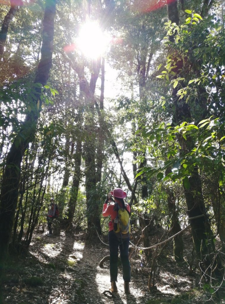 鳶嘴山的懸崖峭壁.特別誘人_752113