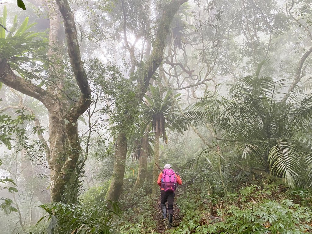 霧雨濛濛南橫玉穗山行 202118_1233436