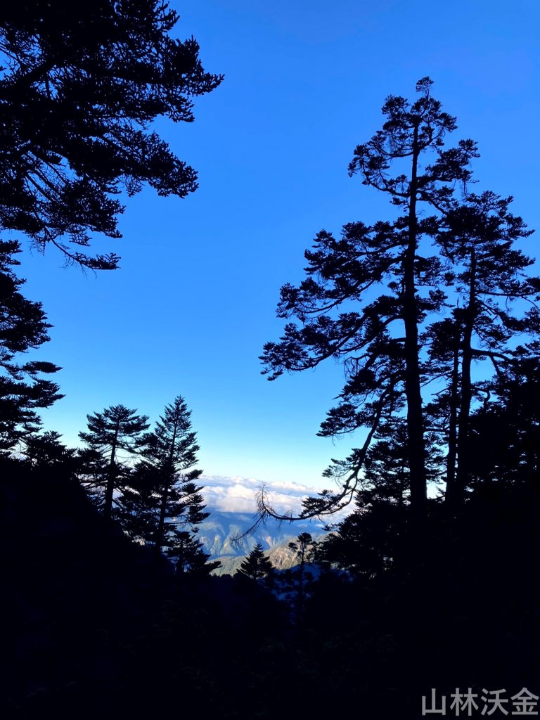2023-11-27 玉山主峰_2365010