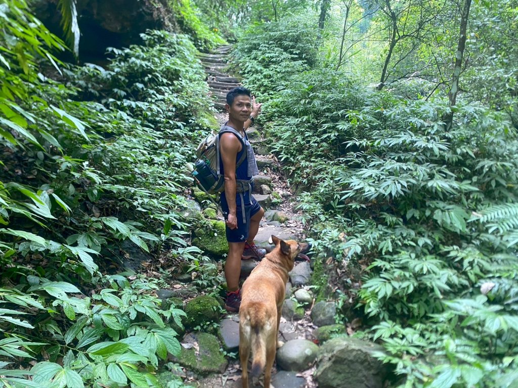 南隘勇古道.龍骨古道.綠色古道.延平古道.鳴鳳古道【一條很單調 一群才精彩】_2812041