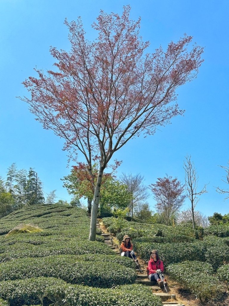 溪頭六連峰O繞_2741712