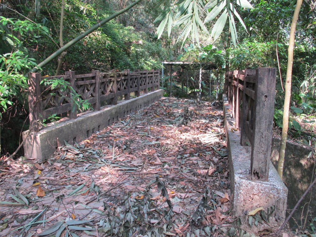 2019-09-26 石岡挑物古道_689249