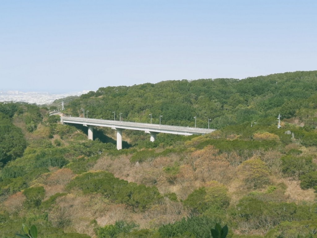 《台中》大肚萬里長城步道O巡20210110_1233605