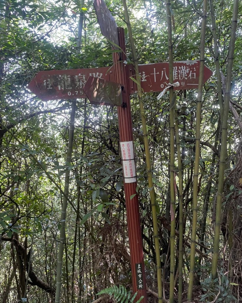 微笑山⛰️線-大棟-二格山-五分山-天上山-鳶山💎12條步道完成💙_2837223