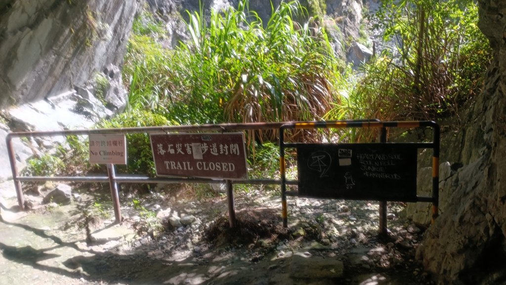 百大：白楊步道_1730140
