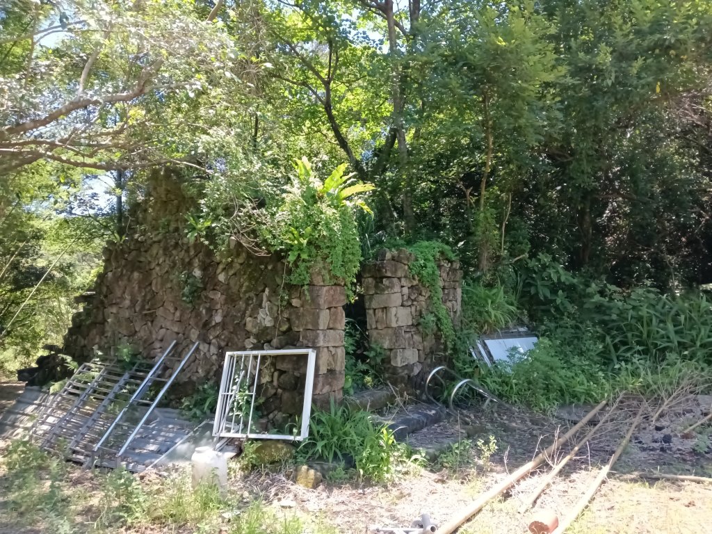 貢寮區文秀坑古道+觀日嶺步道O型_2809193