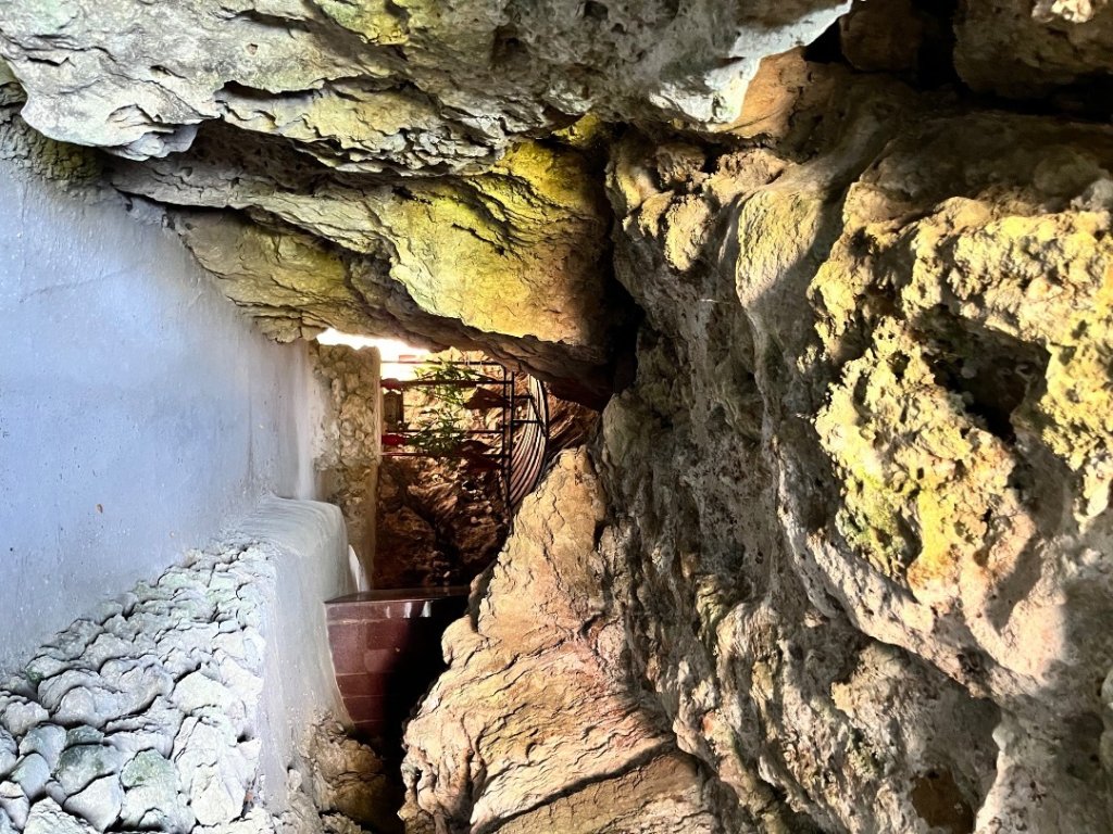 20251101_大崗山（高雄小百岳）_2941407